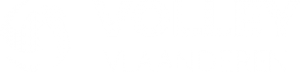 vlaanderen-color